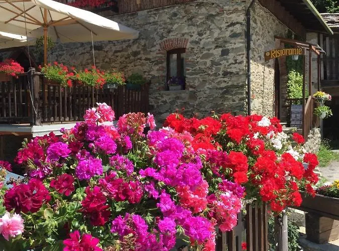 Penzion Vinicola23 3*